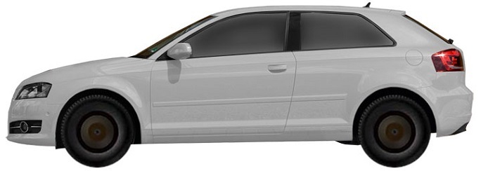 Audi A3 8P Hatchback 3d (2008-2012) 1.6 Flexible fuel