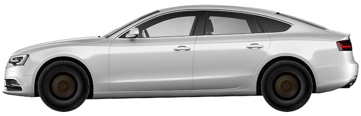 Audi A5 B8, B81 Sportback (2011-2016) 3.0 TDI Quattro