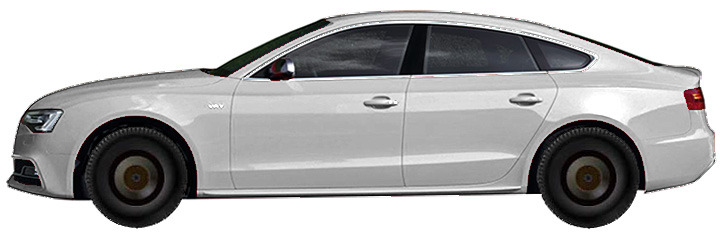 Audi S5 В8, B81 Sportback (2011-2016) 3.0 TFSI Quattro