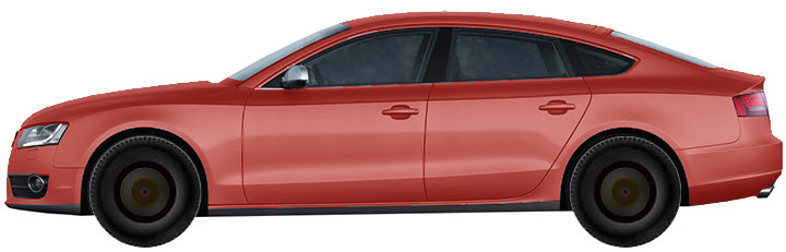Audi A5 B8, B81 Sportback (2009-2011) 3.0 TDI Quattro