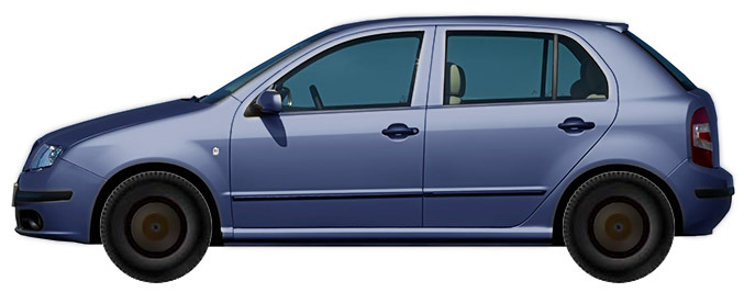 Skoda Fabia 6Y Hatchback (2004-2007) 2.0